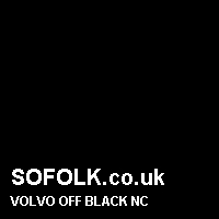 Leather seat color VOLVO