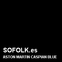 Color cuero ASTON MARTIN