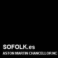 Color cuero ASTON MARTIN