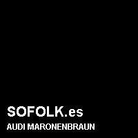 Color cuero AUDI