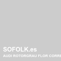 Tono asiento de cuero AUDI