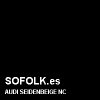 Color cuero AUDI