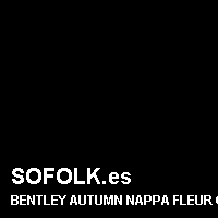 Color cuero BENTLEY
