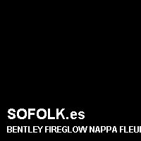 Color cuero BENTLEY