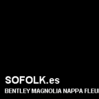 Color cuero BENTLEY