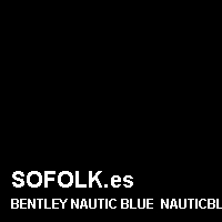 Color cuero BENTLEY