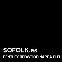 Color cuero BENTLEY