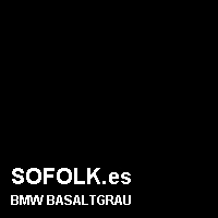 Color cuero BMW