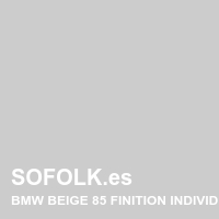 Tono asiento de cuero BMW
