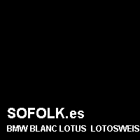 Color cuero BMW