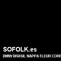 Color cuero BMW