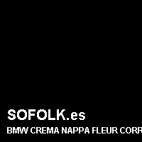 Color cuero BMW