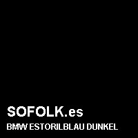 Color cuero BMW