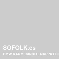 Tono asiento de cuero BMW