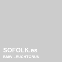 Tono asiento de cuero BMW