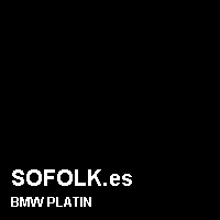 Color cuero BMW