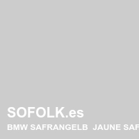 Tono asiento de cuero BMW