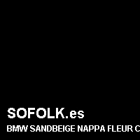 Color cuero BMW