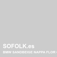 Tono asiento de cuero BMW