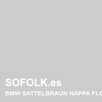 Tono asiento de cuero BMW