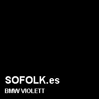 Color cuero BMW