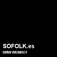 Color cuero BMW