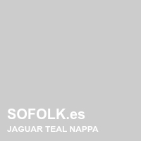 Tono asiento de cuero JAGUAR