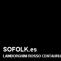 Color cuero LAMBORGHINI