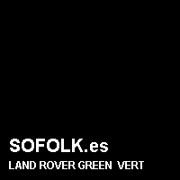 Color cuero LAND ROVER