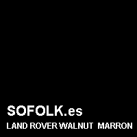 Color cuero LAND ROVER