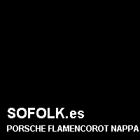 Color cuero PORSCHE