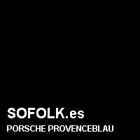 Color cuero PORSCHE