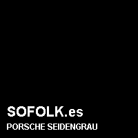 Color cuero PORSCHE
