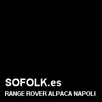 Color cuero RANGE ROVER
