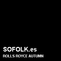Color cuero ROLLS ROYCE
