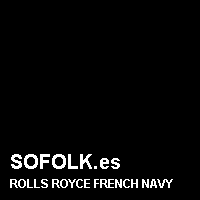 Color cuero ROLLS ROYCE