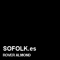 Color cuero ROVER