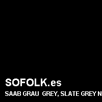 Color cuero SAAB