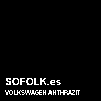 Color cuero VOLKSWAGEN
