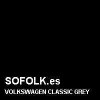 Color cuero VOLKSWAGEN
