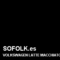 Color cuero VOLKSWAGEN
