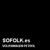 Color cuero VOLKSWAGEN