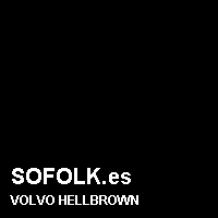 Color cuero VOLVO