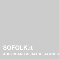 Tinta sedile in pelle AUDI