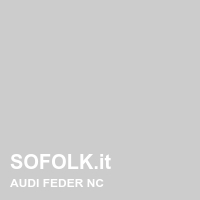 Colore pelle AUDI