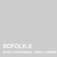 Tinta sedile in pelle AUDI