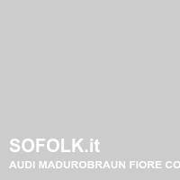 Tinta sedile in pelle AUDI