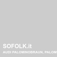 Tinta sedile in pelle AUDI