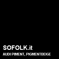 Colore pelle AUDI