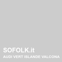 Tinta sedile in pelle AUDI